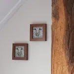 De Balkende Ezel Bed & Breakfast Winterswijk