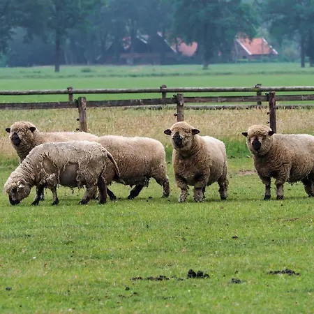 De Balkende Ezel