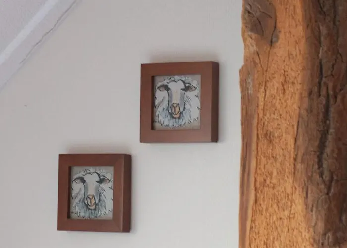 De Balkende Ezel Bed & Breakfast Winterswijk